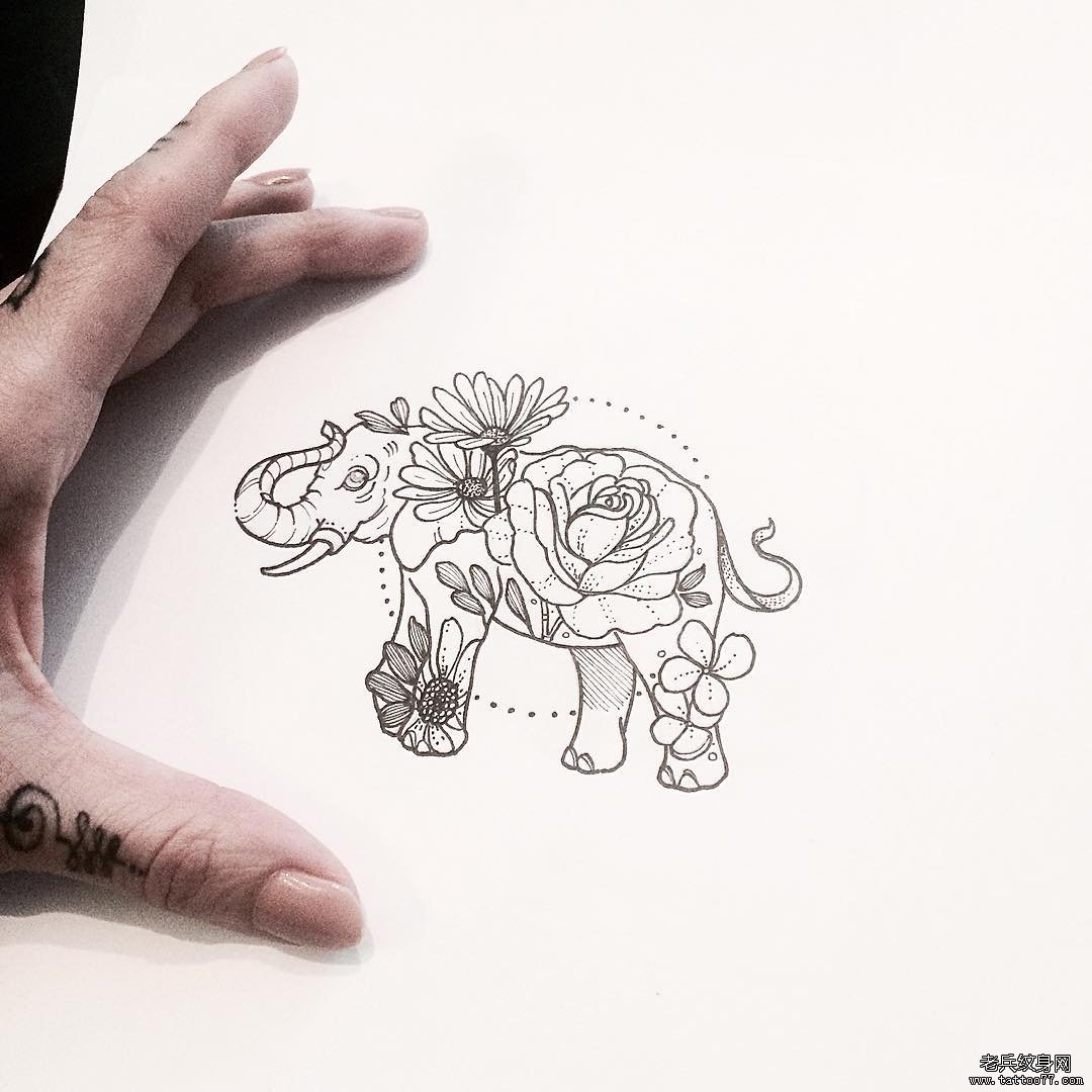 欧美花卉大象点刺纹身图案手稿