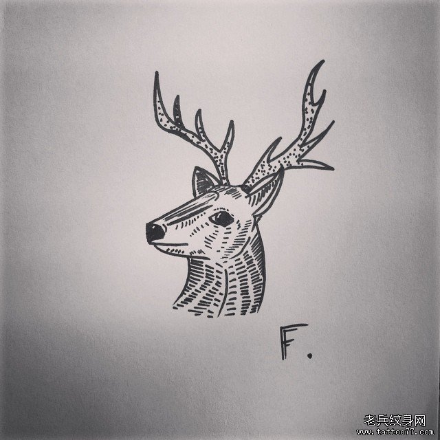 小清新麋鹿点刺纹身图案手稿