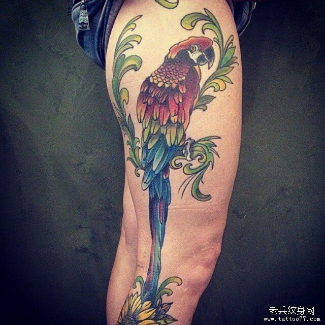 大腿欧美鹦鹉彩色纹身图案