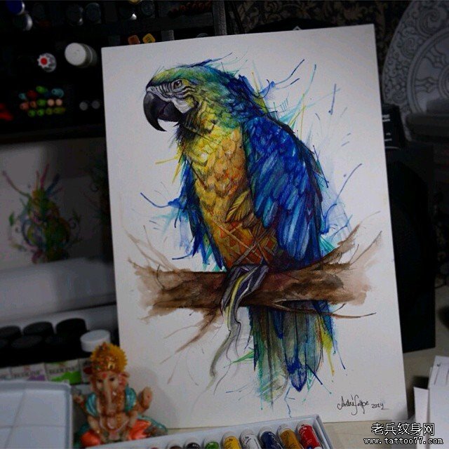 欧美彩色鹦鹉纹身图案手稿