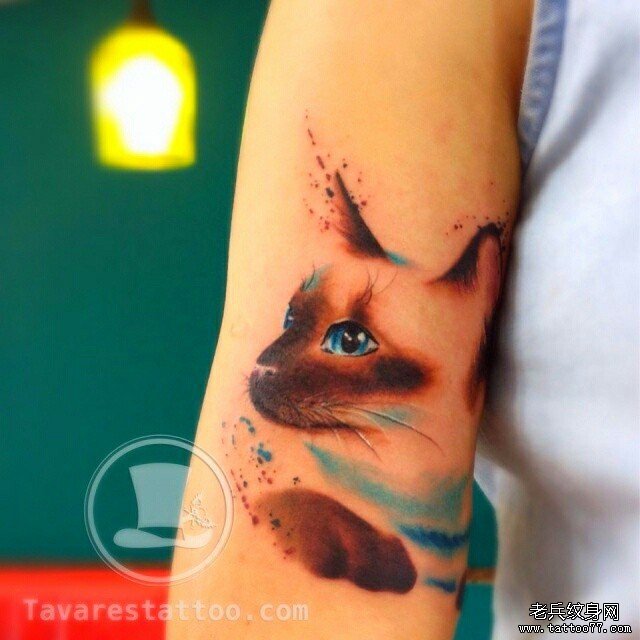 大臂彩色泼墨猫纹身图案