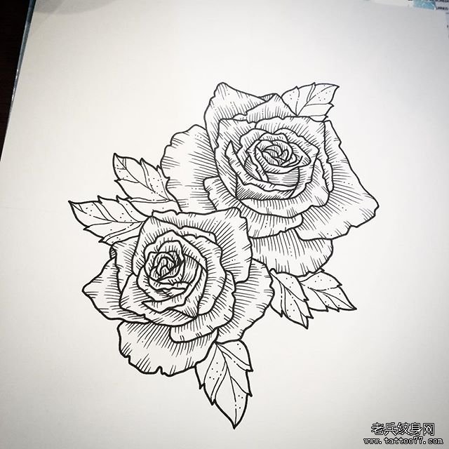 欧美线条玫瑰纹身图案手稿
