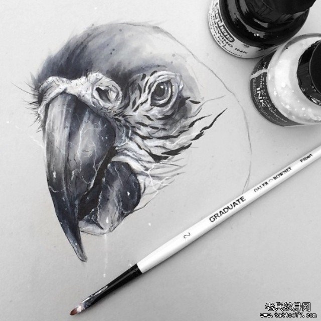 欧美鹦鹉头像黑灰纹身图案手稿