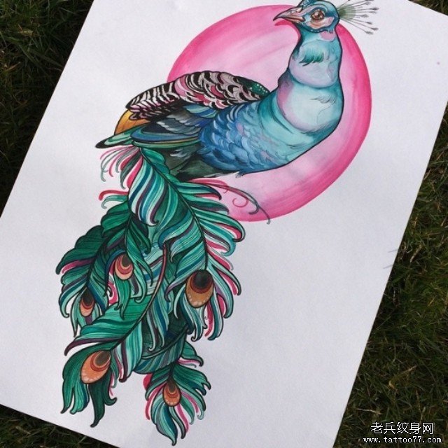 欧美彩色孔雀纹身图案手稿