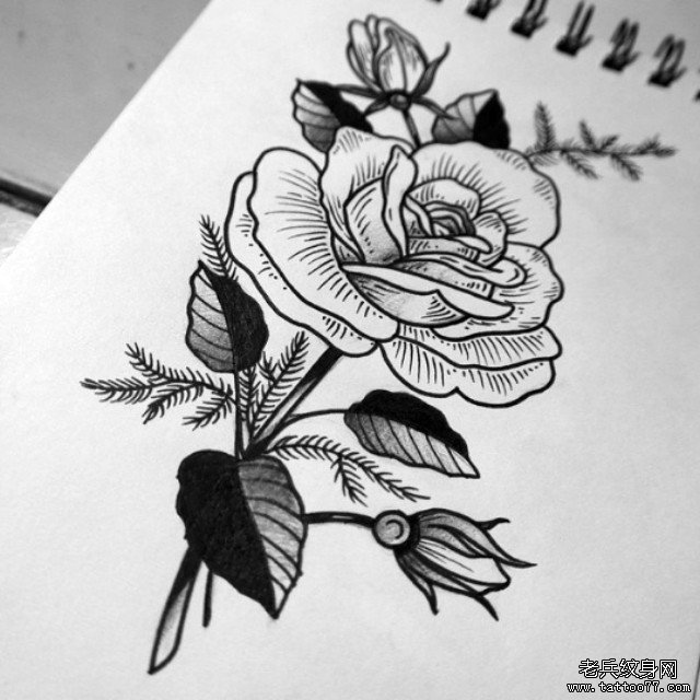 欧美school黑灰线条玫瑰纹身图案手稿