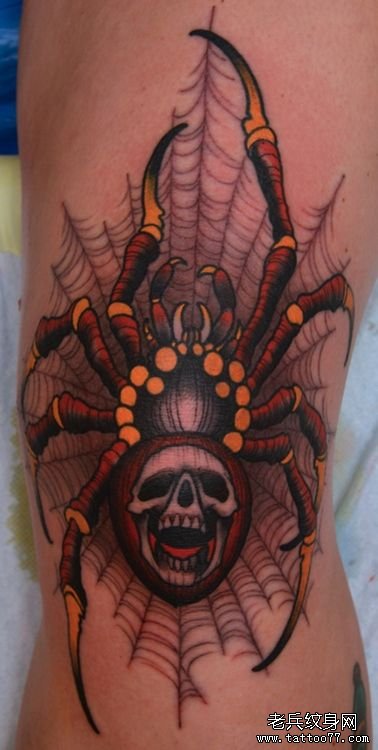膝盖蜘蛛欧美彩绘纹身图案