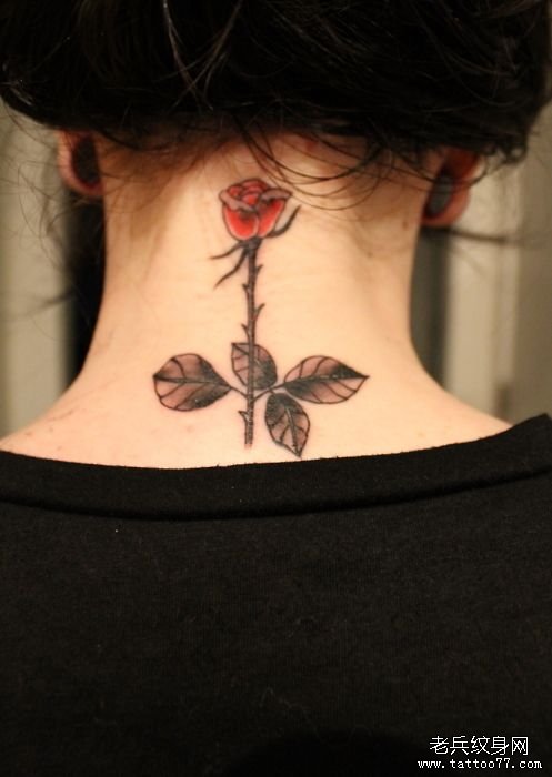 女生颈部欧美玫瑰纹身图案