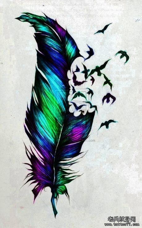 欧美七彩羽毛小鸟纹身图案手稿