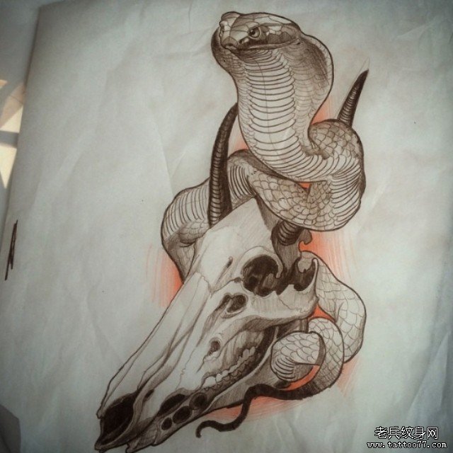 欧美眼镜蛇羊头骷髅纹身图案手稿