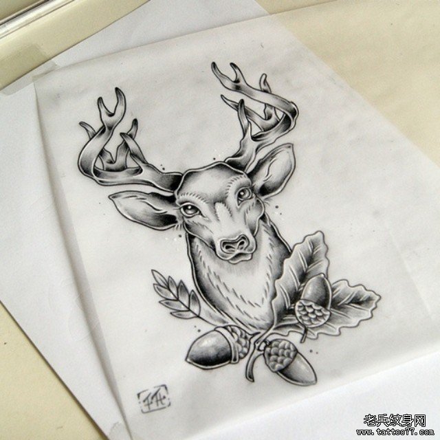 欧美黑灰麋鹿橡果纹身图案手稿