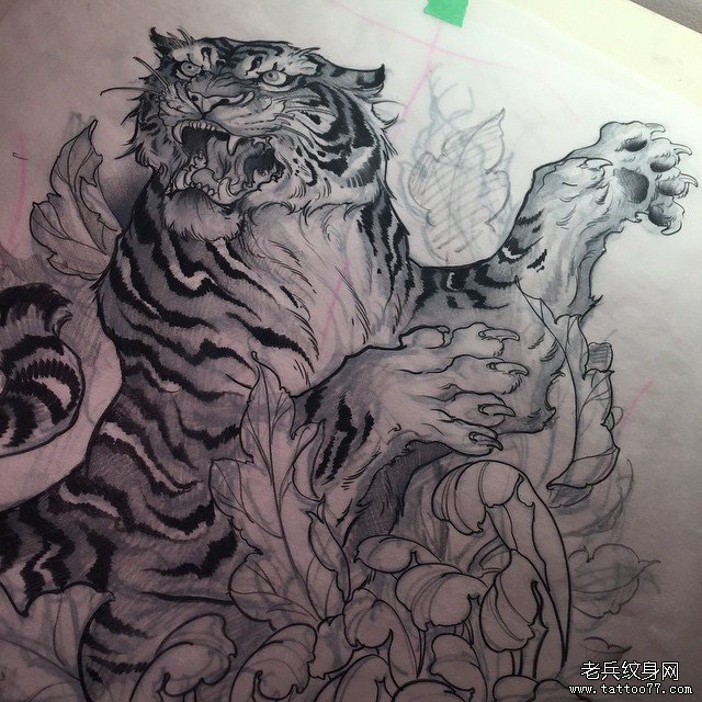 传统老虎花朵黑灰纹身图案手稿
