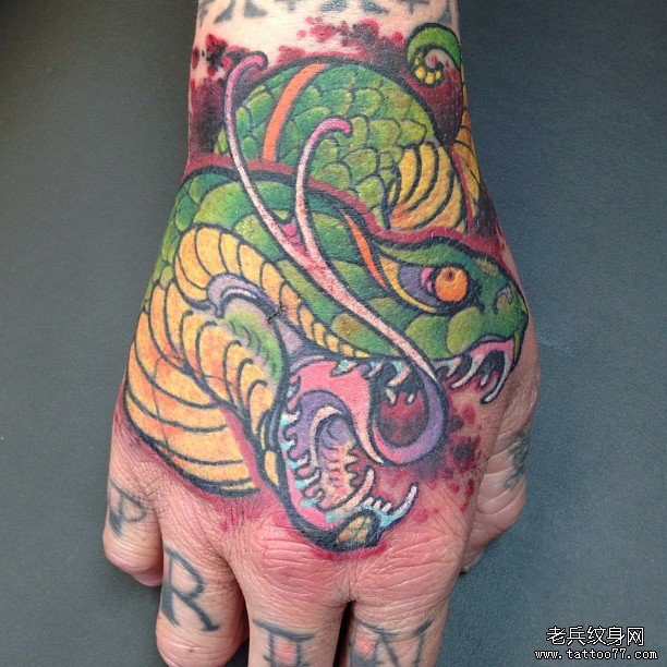手背欧美彩色蛇纹身图案