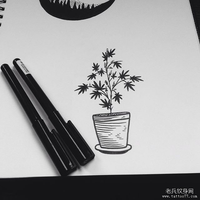 小清新植物盆栽点刺纹身图案手稿