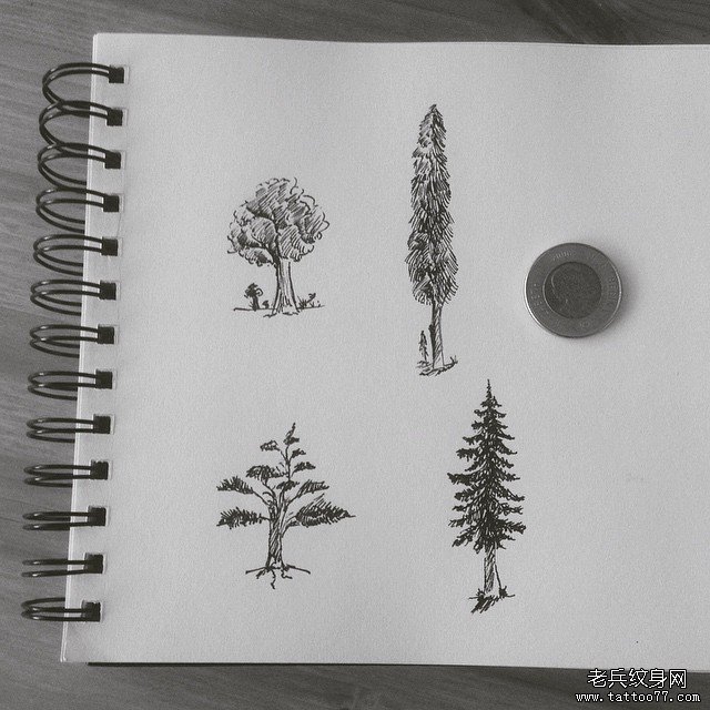 欧美小清新植物纹身图案手稿
