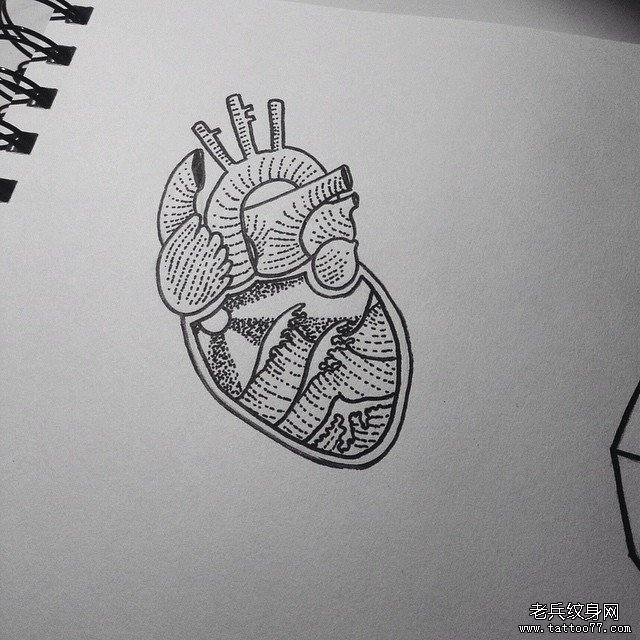欧美线条点刺心脏纹身图案手稿