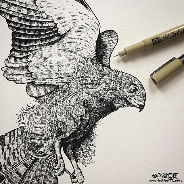 欧美老鹰点刺纹身图案手稿