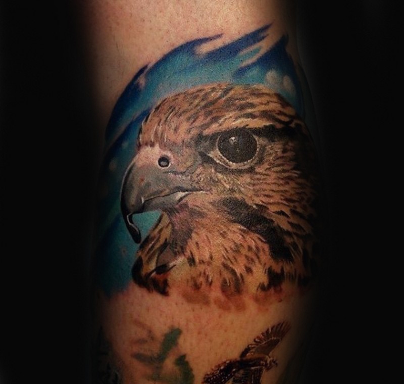 优雅的彩色写实鹰头手臂纹身图案