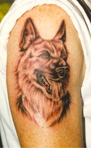 德国牧羊犬头像手臂纹身图案