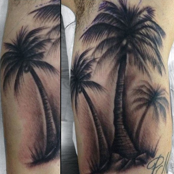 手臂自然逼真的棕榈树纹身图案