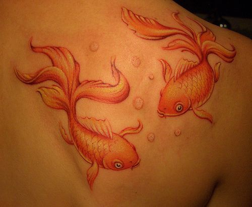 背部两只金鱼彩色纹身图案