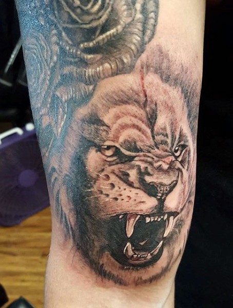 手臂黑灰风格的狮子头纹身图案
