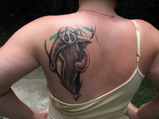 背部写实的彩绘树獭纹身图案