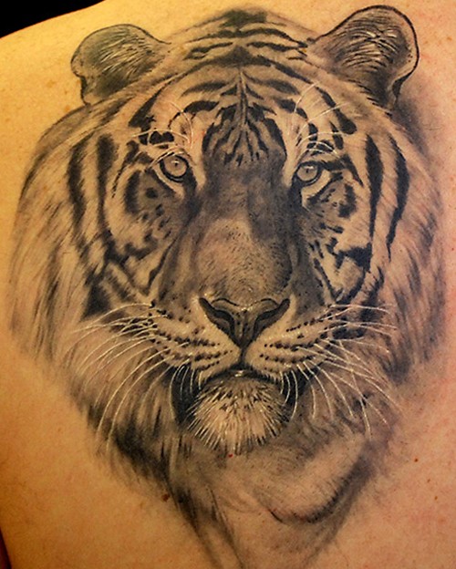 灰色的写实老虎头像背部纹身图案