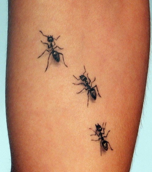 简单逼真的黑色蚂蚁手臂纹身图案