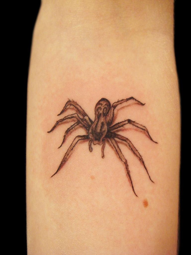 手臂简单的3D黑灰蜘蛛纹身图案