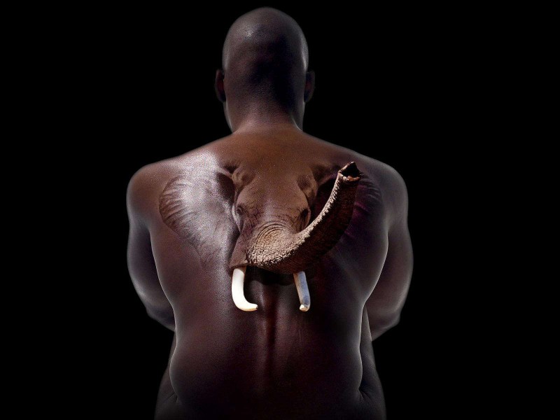 3D写实的创意大象满背纹身图案