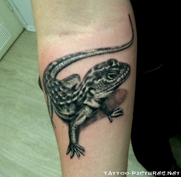手臂令人印象深刻的逼真3D蜥蜴纹身图案