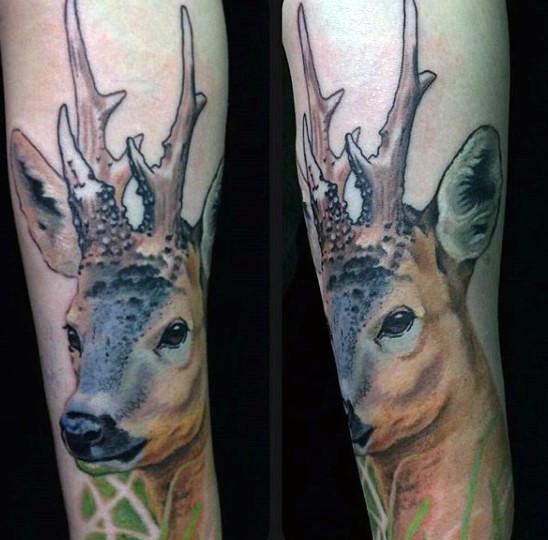 天然的彩色小鹿手臂纹身图案