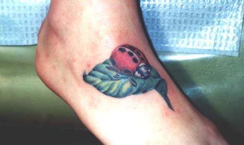 逼真的瓢虫和叶子彩色脚背纹身图案