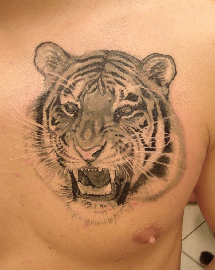 胸部3D逼真的黑灰老虎纹身图案