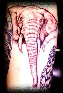逼真的大象头纹身图案