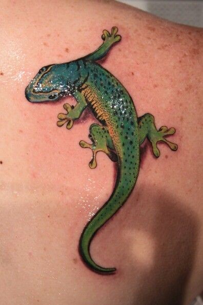 3D绿色的蜥蜴背部纹身图案