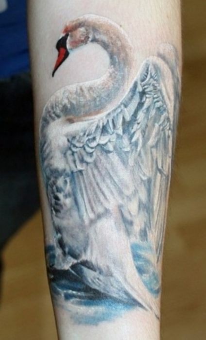 非常逼真可爱的白天鹅手臂纹身图案