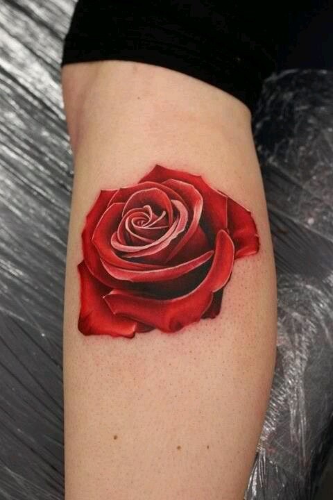 小腿3D红色的玫瑰纹身图案