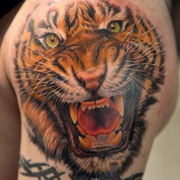 大臂彩色逼真的老虎头像纹身图案