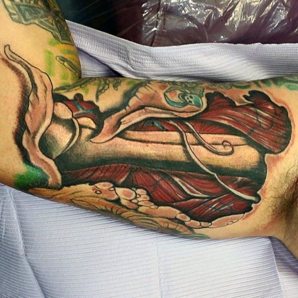 人类骨骼和肌肉彩色手臂纹身图案