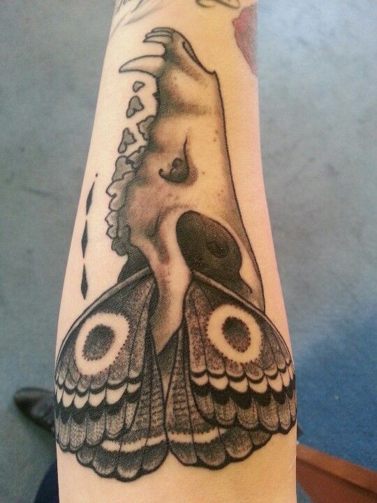 黑灰动物头骨与蝴蝶翅膀纹身图案