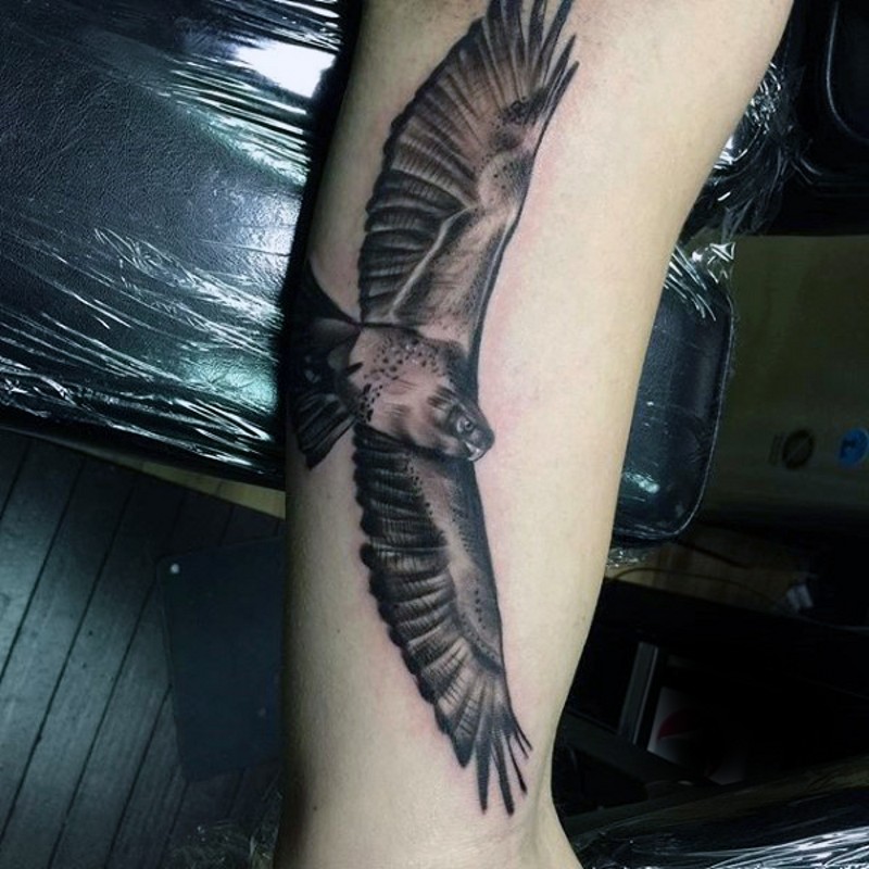 手臂黑色的鹰展翅飞翔纹身图案