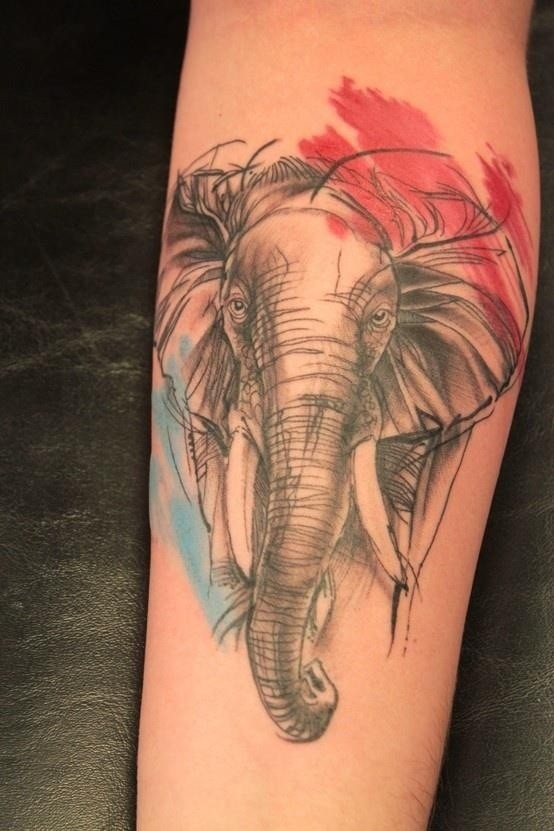彩色素描风格大象头手臂纹身图案