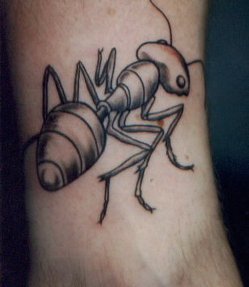 可爱的灰色蚂蚁小腿纹身图案