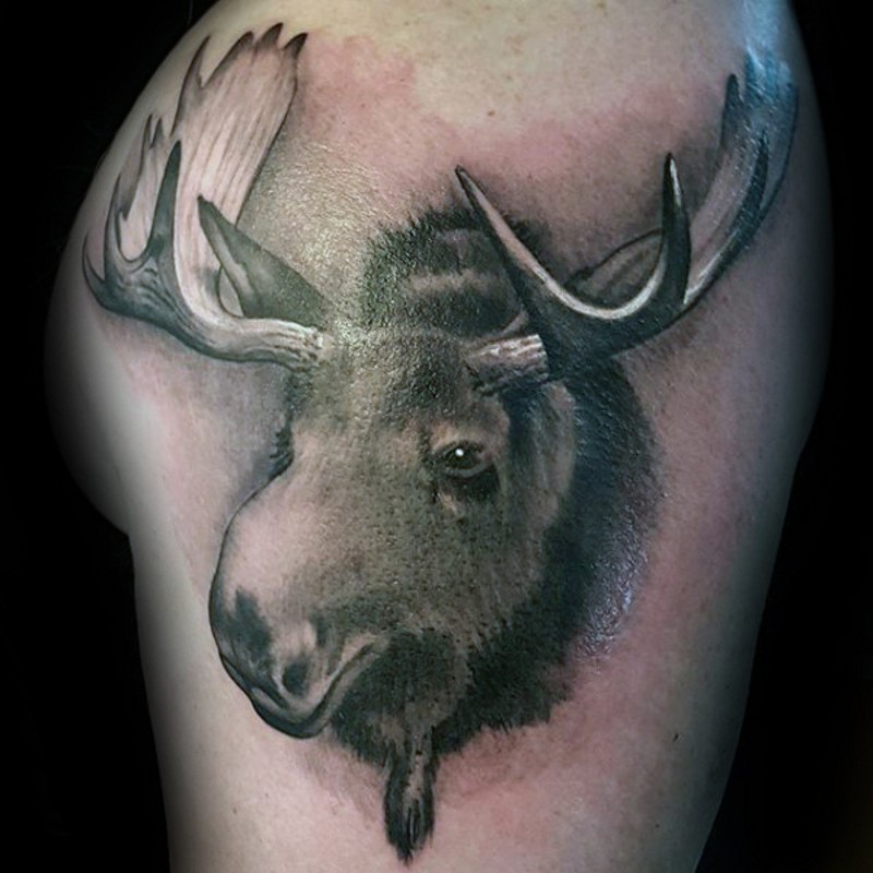 手臂黑白的麋鹿头部纹身图案