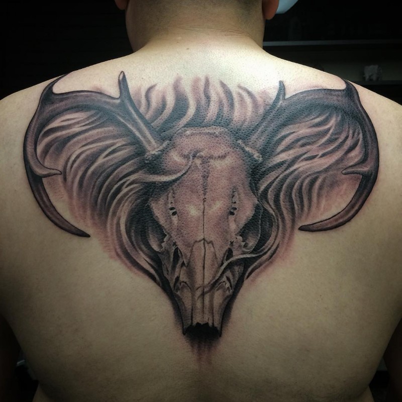 背部难以置信的幻想动物头骨与神秘雾纹身图案