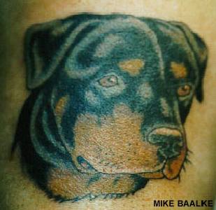 罗威纳犬头像个性纹身图案