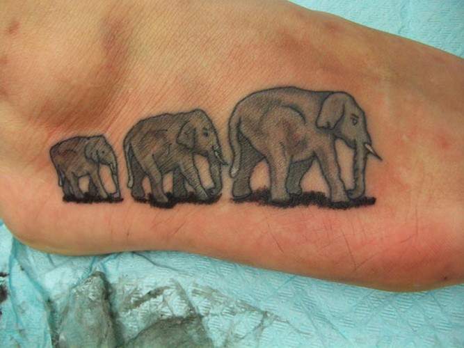 脚背美丽的动画大象家庭纹身图案