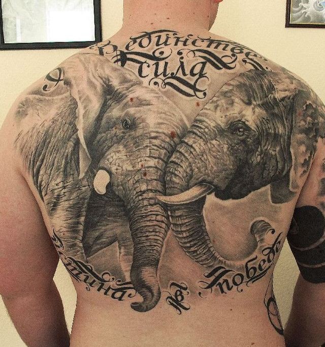 美丽的大象写实背部纹身图案