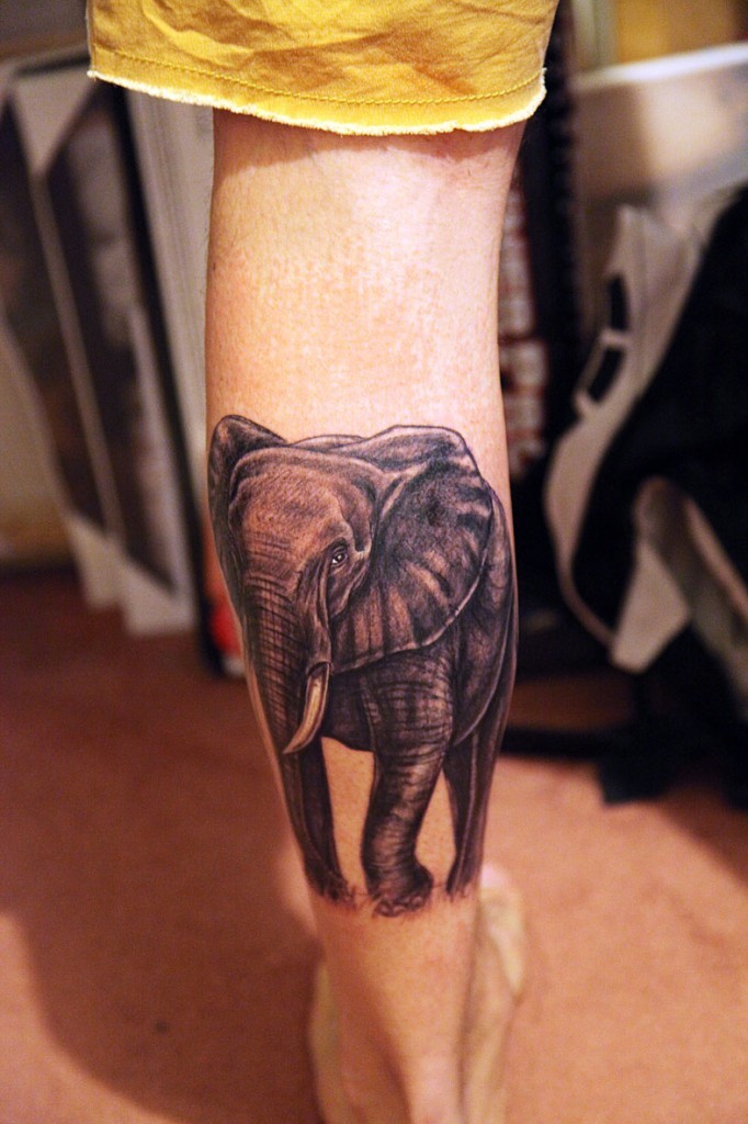 漂亮的黑白写实大象小腿纹身图案